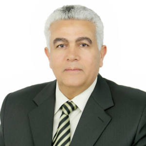 Gamal E. Aboulfotouh